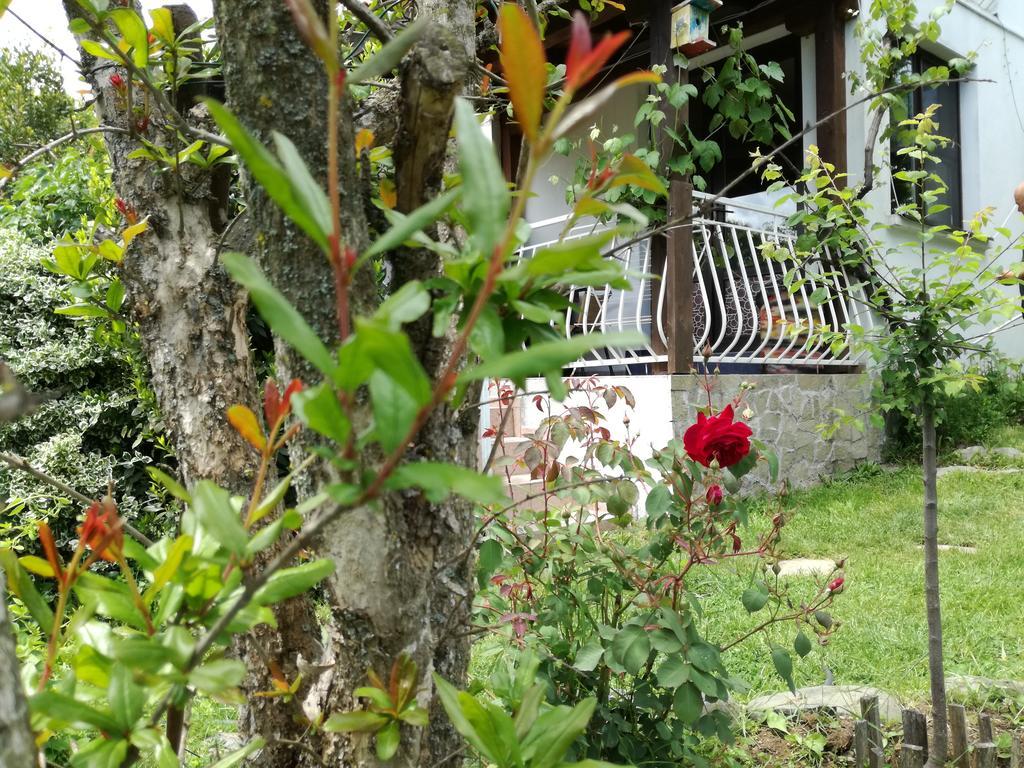 Guest House Fanny Sinemoretz Luaran gambar